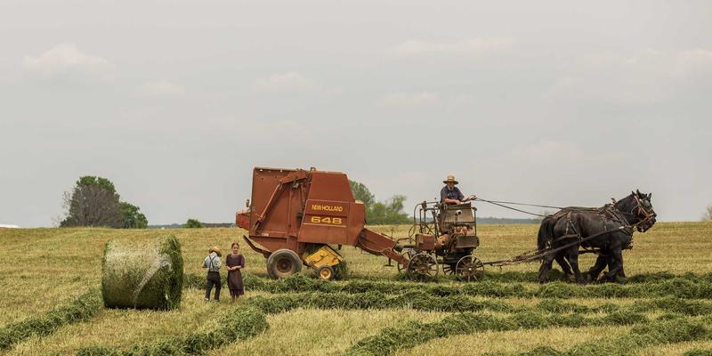 专业解析：巴尔齐塑料检查井与HDPE、PVC-U管道的密封连接技术与管件选型