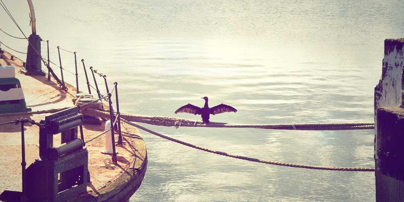 巴尔齐PE-RT II型管材：高温区域地板采暖系统的耐热与耐久性深度解析