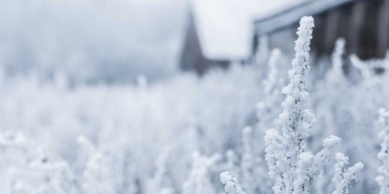 巴尔齐PE电熔管件智能化焊接：工艺参数精准控制与焊缝质量在线监测技术解析