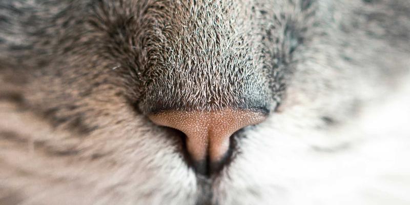 巴尔齐管材34：卓越性能的PVC管材与管接头解决方案