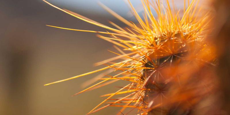 巴尔齐管材5：现代工业管道系统的卓越选择