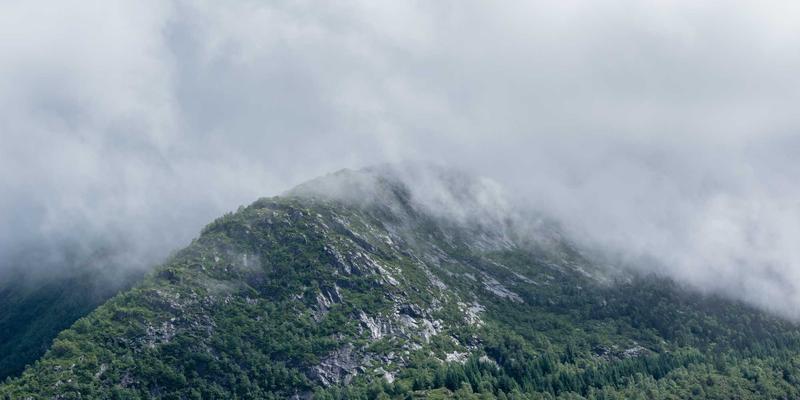 巴尔齐管材80:PVC管与钢管的性能对比与应用选择指南