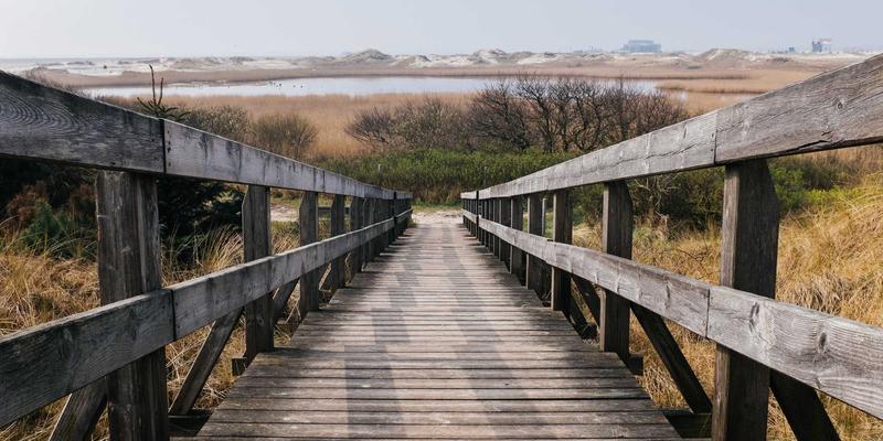 巴尔齐管材86：工业管道系统的卓越选择与专业解析