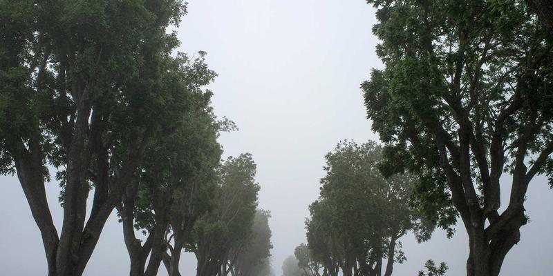 巴尔齐管材89:卓越性能与广泛应用的工业管道解决方案