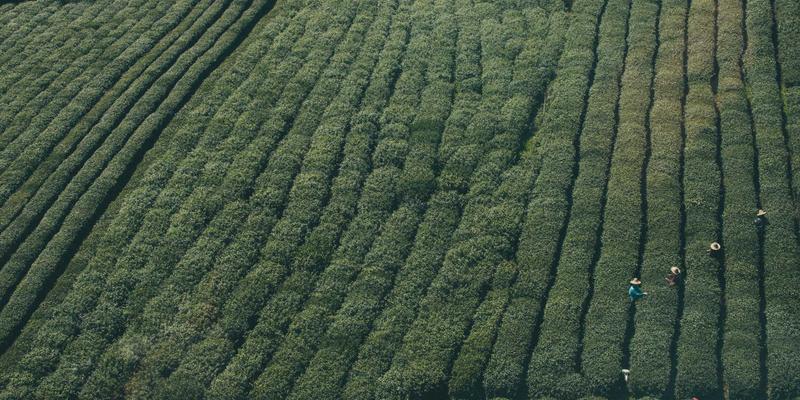巴尔齐管材91：工业管道系统的卓越选择与专业应用指南