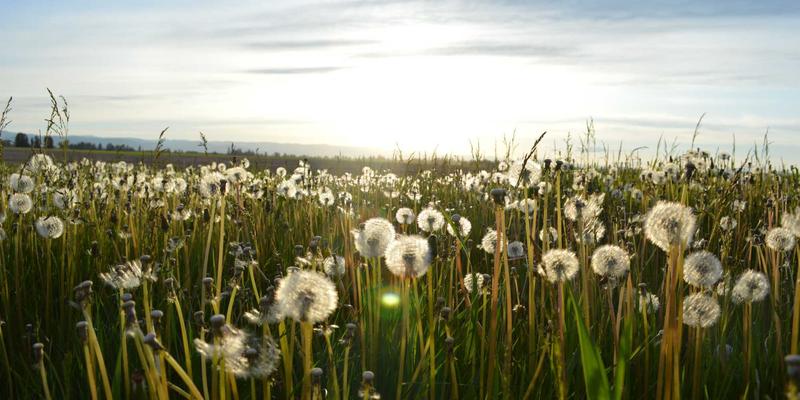 巴尔齐管材95：现代工业管道系统的卓越之选