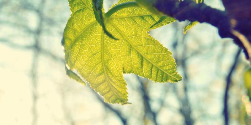 巴尔齐管材98:工业管道系统的革新选择与专业解析