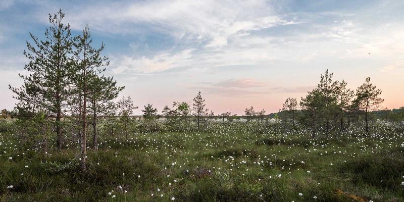 巴尔齐管材全攻略：从管件选型到工业应用的专业指南