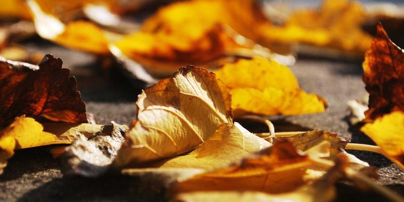 管件与管接头的关键考验：巴尔齐耐热聚乙烯（PE-RT）管在地暖系统中的热稳定性深度解析